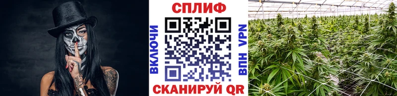 Каннабис индика  где продают   Хабаровск 